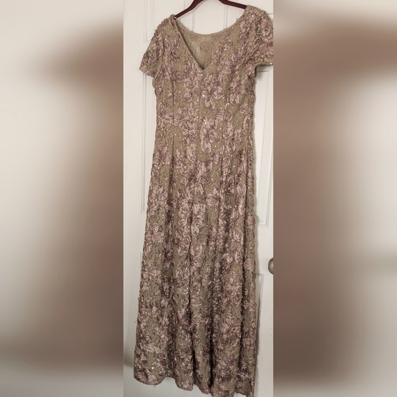 Alex Evenings Gorgeous Lace A-Line Gown - Picture 7 of 14